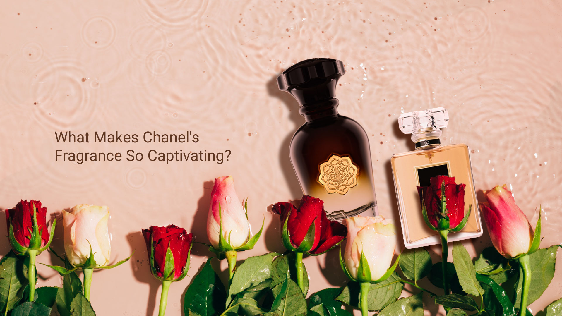 Discover Our Best Similar Perfumes of Chanel in Dubai, UAE - What Makes Chanel's Fragrance So Captivating